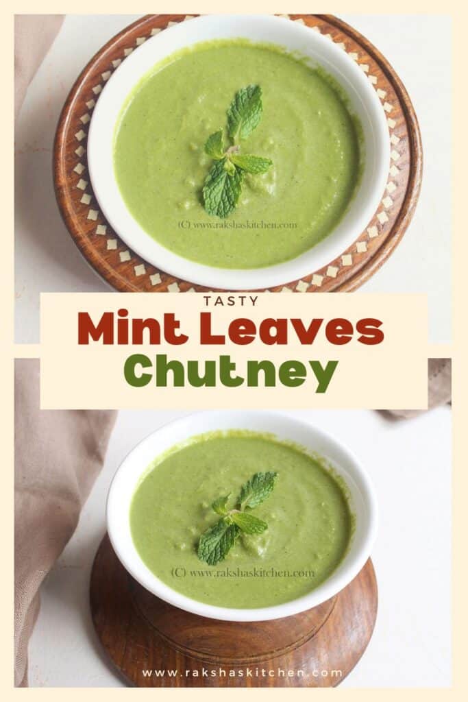 mint leaves chutney pin