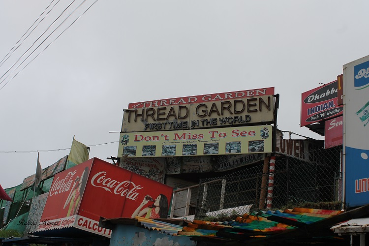 Ooty thread garden