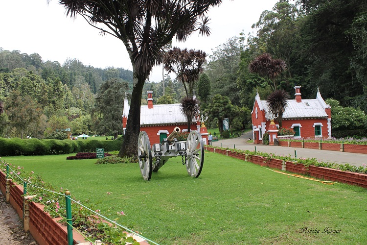 ooty botanical garden