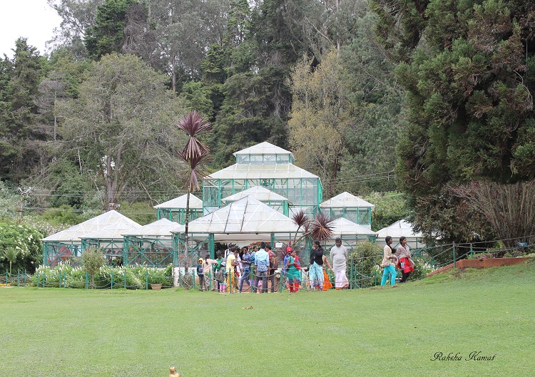 Ooty botanical garden